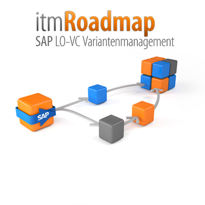 it-motive SAP Variantenmanagement Paket