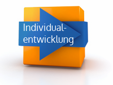 Icon_button_Individualentwicklung