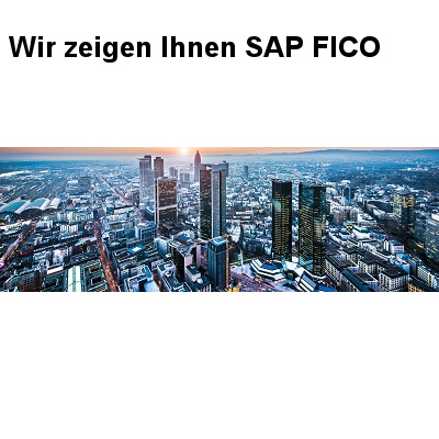 SAP Finanzwesen im Fokus