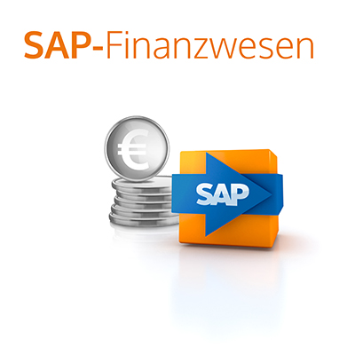 it-motive SAP Finanzwesen Paket