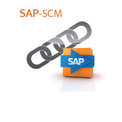 it-motive SAP SCM Paket