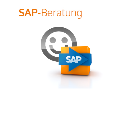 it-motive SAP Beratungspaket