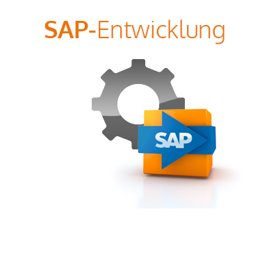 it-motive SAP Entwicklungspaket